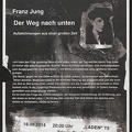 Franz Jung, Der Weg nach unten